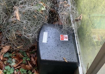 pest_control_london_001