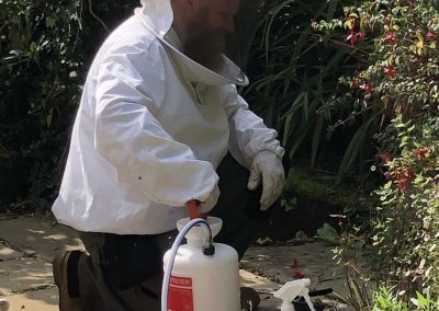 pest_control_london_023