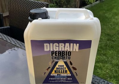 pest_control_london_018