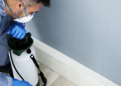 pest_control_london_025