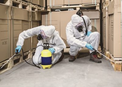 pest_control_london_033