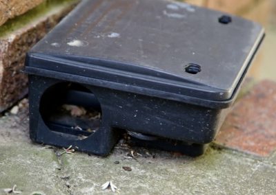 pest_control_london_034