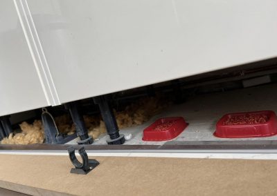 pest_control_london_036
